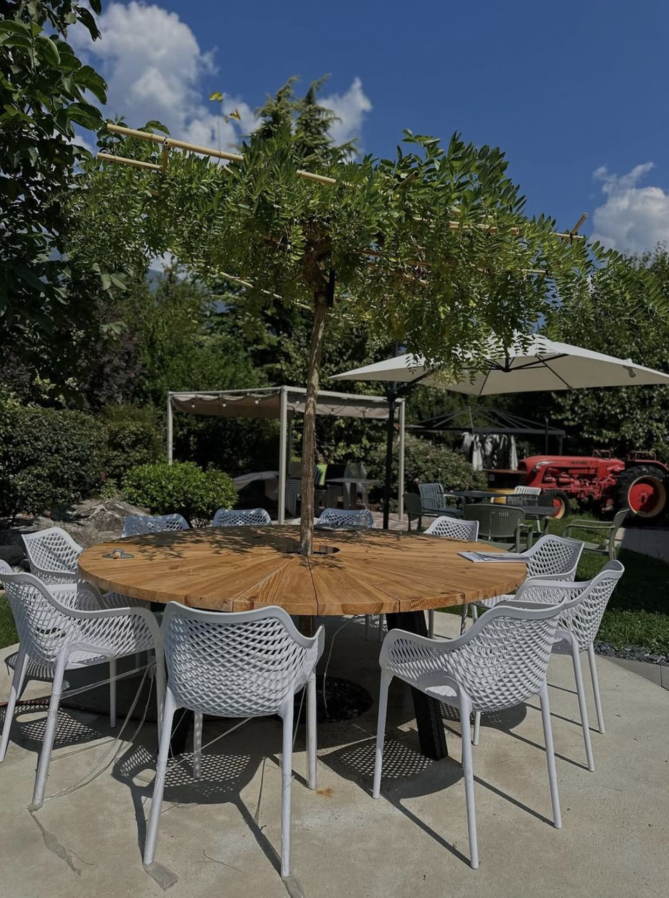 Vue depuis la terrasse, au cœur du jardin valaisan
